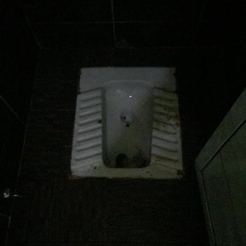 Milli Eğitim Bakanlığı (MEB) İlköğretim Okulu Tuvaletlerinin Hijyen Sorunu