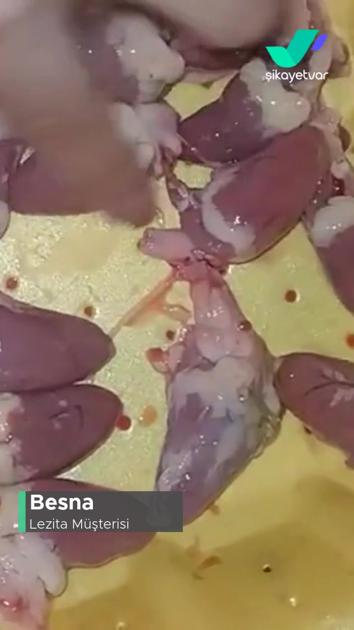 Lezita'dan Ciğer Aldım Taşlık Çıktı videonun kapak resmi