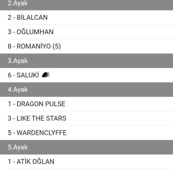 Türkiye Jokey Kulübü Kupon Mağduriyeti