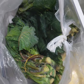 Profilo Buzdolabı Alındığı Günden İtibaren Arızalı Sorun Çözülmüyor