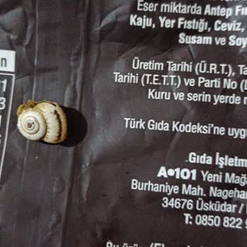 A101 Çekirdek Paketinden Salyangoz Çıktı