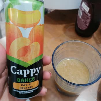 Cappy Köpürmüş Meyve Suyu