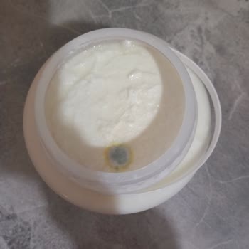 Yöre Süt Ürünleri Yöre Yoğurt Küflenme