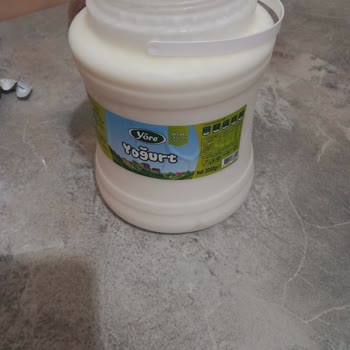 Yöre Süt Ürünleri Yöre Yoğurt Küflenme