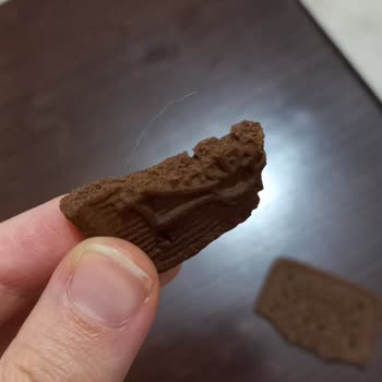 Eti Bisküvi Den Kıl Çıktı