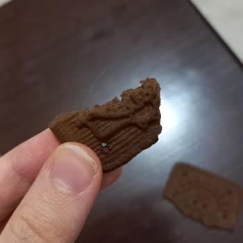 Eti Bisküvi Den Kıl Çıktı