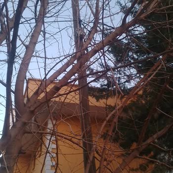 Türk Telekom İnternetten Altyapısı Sorununu