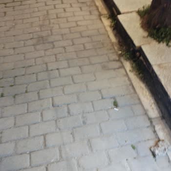 Hangout Psm (İzmir) Hangouts PSM Yaşlı Amca Konseri