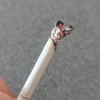 Philip Morris Sigarandan Tahta Çıkıyor