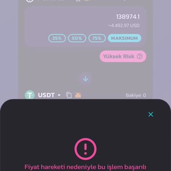 Pancakeswap Portal Coin Hatası