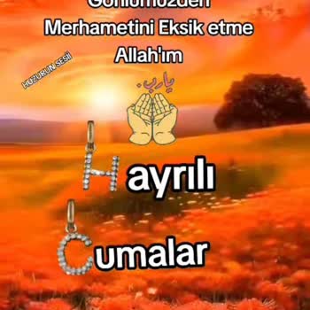 0850 480 91 99 Cevap Yardımcı Olun