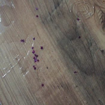 SevOnu (Sevonu_collection) Çift Cidarlı Bardak Sıcak Suya Uyumlu Değilmiş!