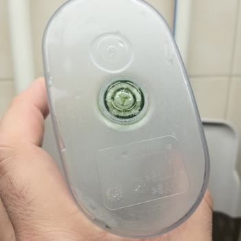 Brita Su Yosunlaşma Sorunu