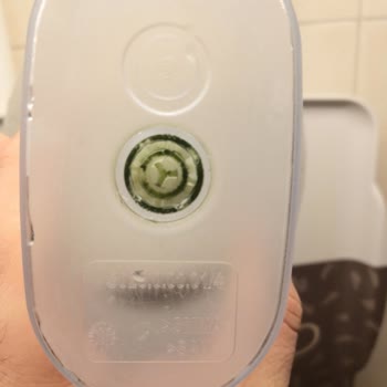 Brita Su Yosunlaşma Sorunu