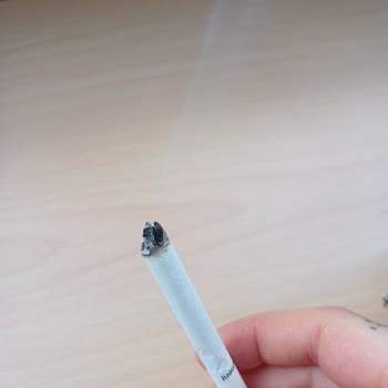 Philip Morris Öneri Ve Şikayet