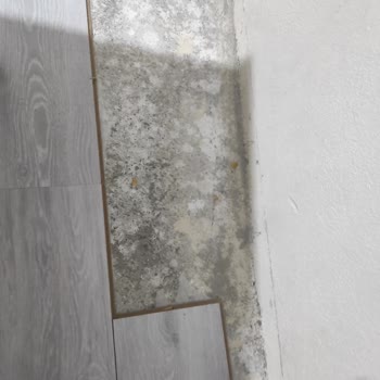 Yıldız Entegre Ürünü Bursa Aras Parke Bayisinden Aldığım
Parke