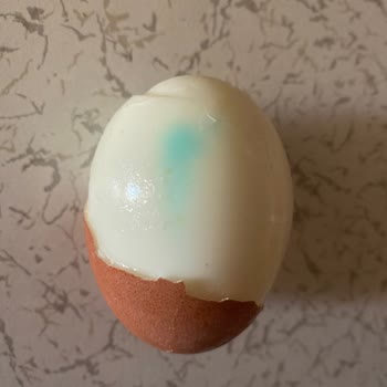 Orvital Organik Yumurta Boya Sorunu