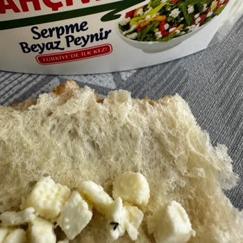 Bahçıvan Peynirden Çıkan Böcek