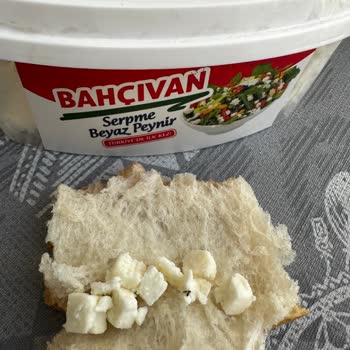 Bahçıvan Peynirden Çıkan Böcek