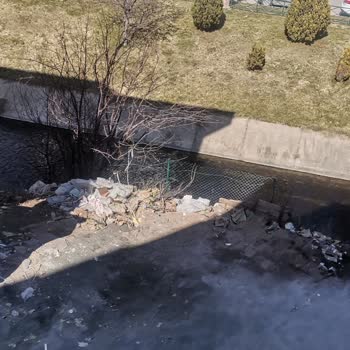 Odunpazarı Belediyesi Doğaya Ve Çevreye Zararın Önlenmesi