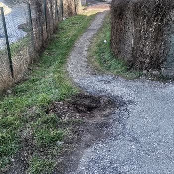 Odunpazarı Belediyesi Doğaya Ve Çevreye Zararın Önlenmesi