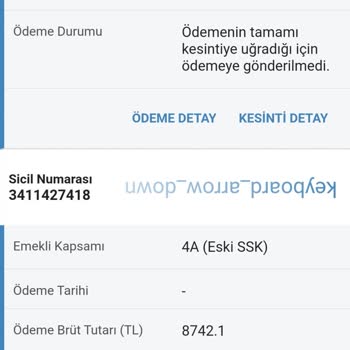 SGK Yetim Aylığımın Toplu Ödemesi Kesintiye Uğradı.