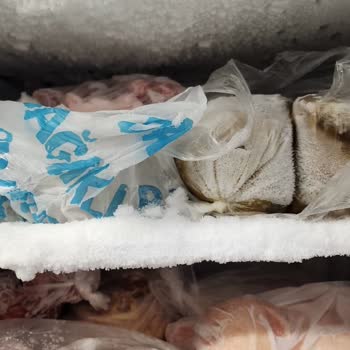 Arçelik Derin Dondurucu Aşırı Buzlanma Kullanıma Engel