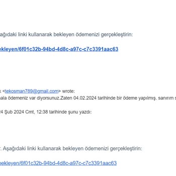 CV Maker'in Yaptığı Usulsüzlük