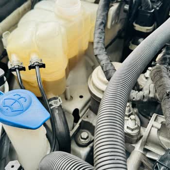 Tarsus Cömert Otogaz Prins Vsi3