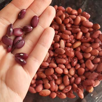 Yayla Bakliyat Kırmızı Fasulyede Renklendirici Mi Kullanılıyor?