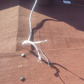 Altus Bir Türlü Çözülemeyen Arıza