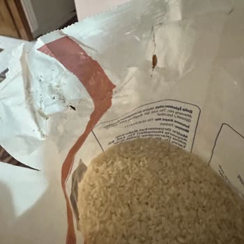 Metro Grossmarket Aro Pirinçte Kurt Şoku Tüketici Güveni Sarsıldı