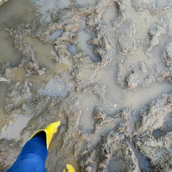 Greenlife Arsa İnceğiz My Garden 1 Projesi Şikayetim