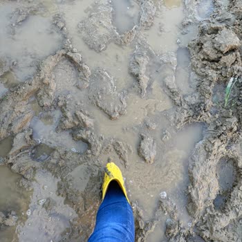 Greenlife Arsa İnceğiz My Garden 1 Projesi Şikayetim