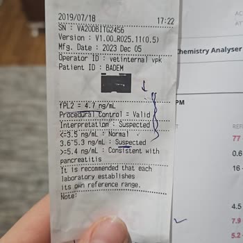 Tarım ve Orman Bakanlığı Bornova'daki Veteriner Kliniği İle İlgili Şikayet Durumu