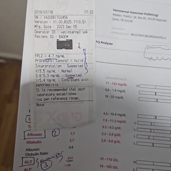 Tarım ve Orman Bakanlığı Bornova'daki Veteriner Kliniği İle İlgili Şikayet Durumu