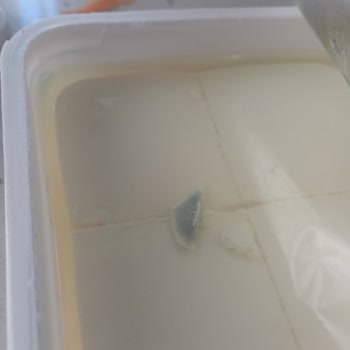 Cebeci Süt Ve Süt Ürünleri Peynir Küflenmiş