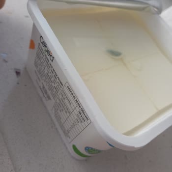 Cebeci Süt Ve Süt Ürünleri Peynir Küflenmiş