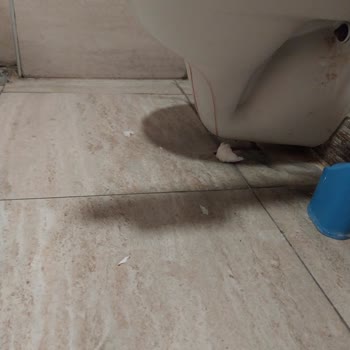 Zeynep Kamil Kadın ve Çocuk Hastalıkları Hastanesi Hastane Temizliği Hakkında Şikayetler