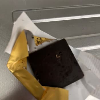 Uzay Pastanesi Çikolataları Görselde Olduğu Gibi Kurtlu