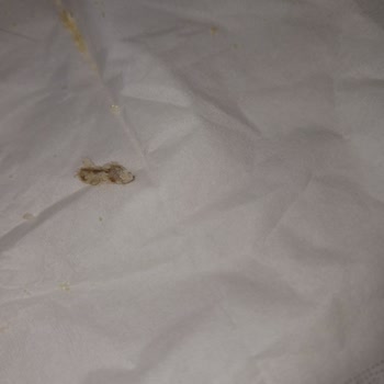 Aktürk Helva Vanilyalı Gofrette Bulunan Belirsiz Cisim