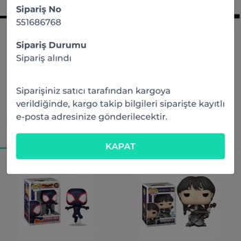 Neclastr Shopier Ürünüm Elime Hala Ulaşmadı