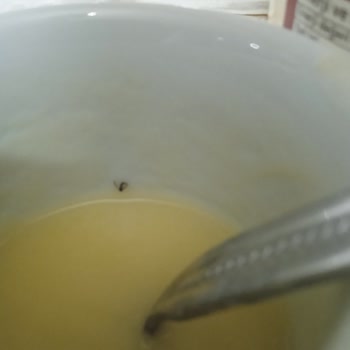 Soydan Boza Ürünün İçinden Çıkan Sinek!