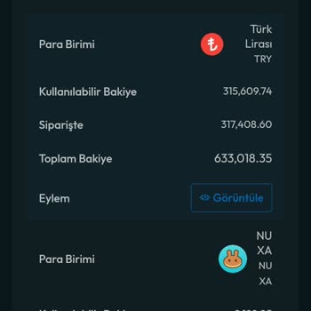 Telegram Üzerinden Mağduriyet Yaşayan Yatırımcının Şikayeti