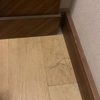 Trivago Otelin Pisliğinden Şikayetçiyiz
