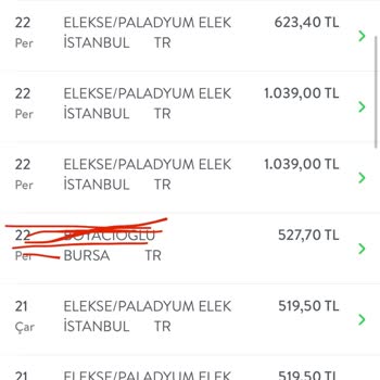 ELEKSE/PALADYUM Elek Bilgi Dışı İşlem
