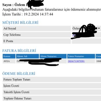 Sabitfaturaodeme.com Hizmet Bedeli Olarak 170 Tl Çektiler