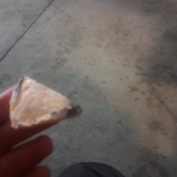 Pınar Et ve Süt Küflü Üçgen Peynir