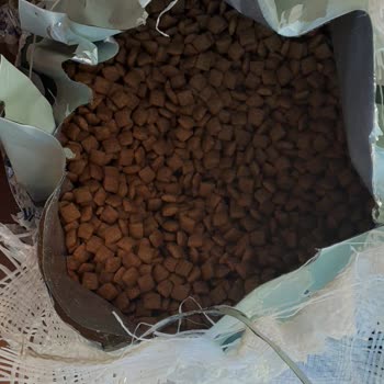 emamaPet.com Ayıplı Ürün Kedi Maması