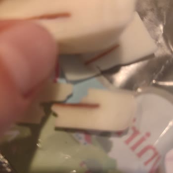 Sütaş Kaşardan Pas Çıktı